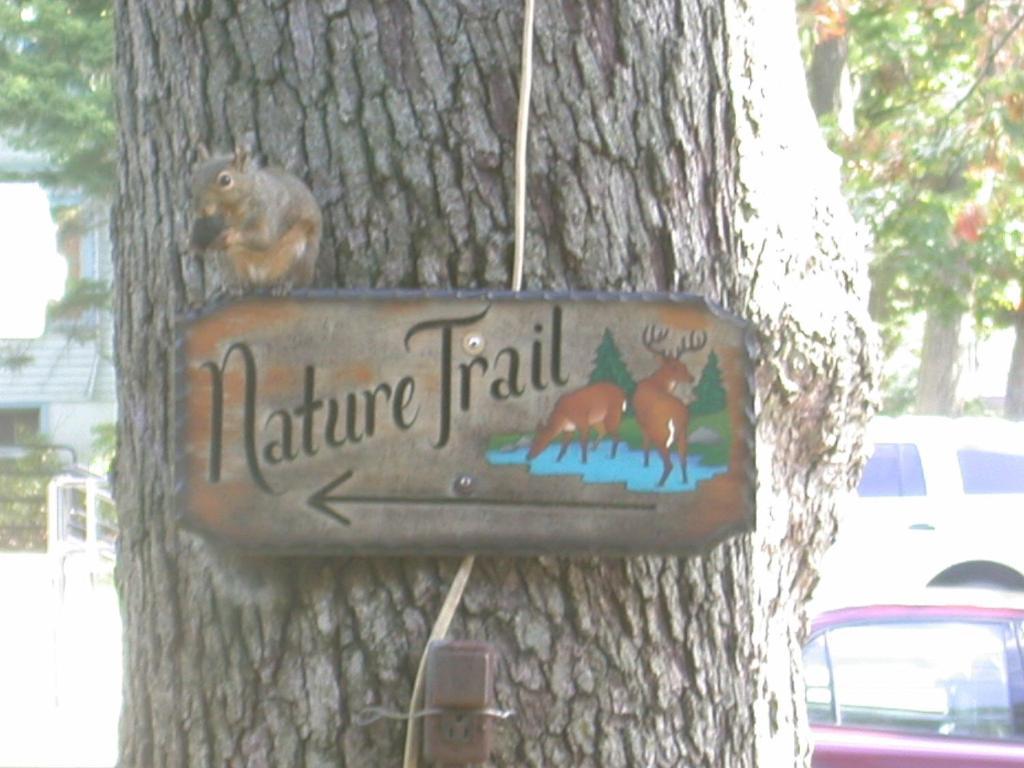 Indian Trail Motel Wisconsin Dells Ngoại thất bức ảnh